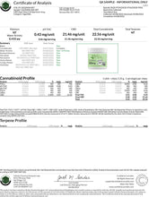 Load image into Gallery viewer, PET - Full Spectrum 300mg Hemp Chews